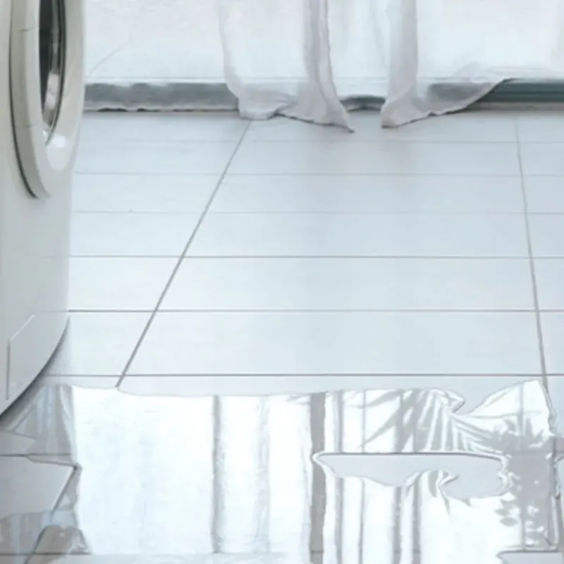 Appliance Leak Cleanup in Roxana, IL