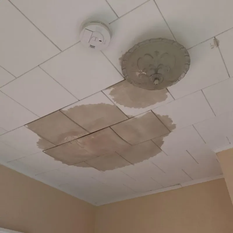 Ceiling Water Damage Repair in Roxana, IL