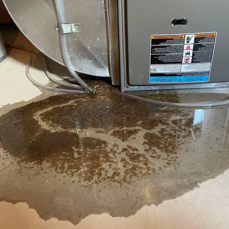 Pipe Burst and Leak Restoration in Roxana, IL